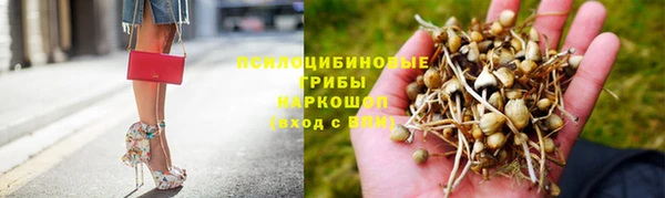 мет Белокуриха