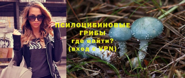 мет Белокуриха