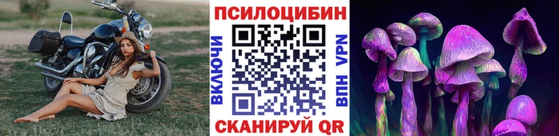 как найти наркотики  Юрюзань  Псилоцибиновые грибы Cubensis 